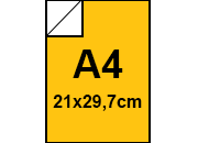 carta: bra435