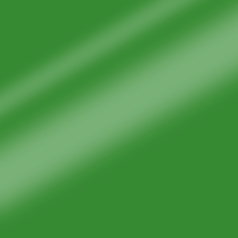 carta Cartoncino BindaKOTE PRATO, A4, 250gr COLORI FORTI Verde Prato 21, monolucido, formato A4 (21x29,7cm), 250grammi x mq.