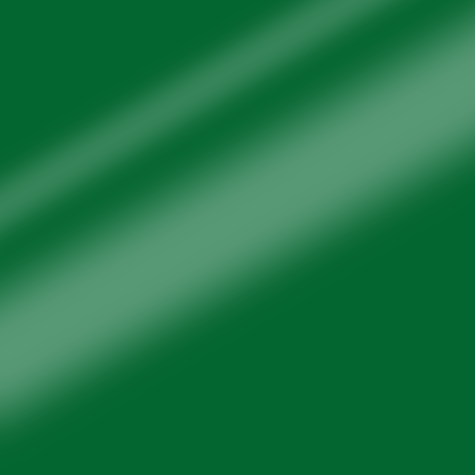 Cartoncino Favini, Bindakote Monolucido Colori Forti, 250 g/m², A5, VERDE 20 bra957A5 - immagine aggiuntiva