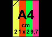 carta Carta Fluorescente ASSORTITO 90gr Assortimento in 4 colori: 25 fogli Giallo 09, 25 fogli Verde 02, 25 fogli Rosso 08, 25 fogli Fucsia 06. , formato A4 (21x29,7cm), 90grammi x mq.