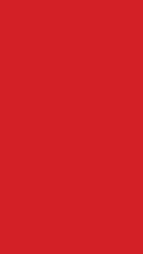 CartoncinoPLASTIFICATO RismaLuceFavini, a5, 230gr, ROSSO SCURO bra411a5 - immagine aggiuntiva