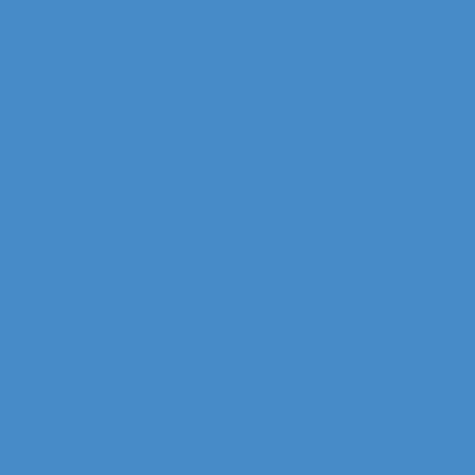 wereinaristea: bra1357