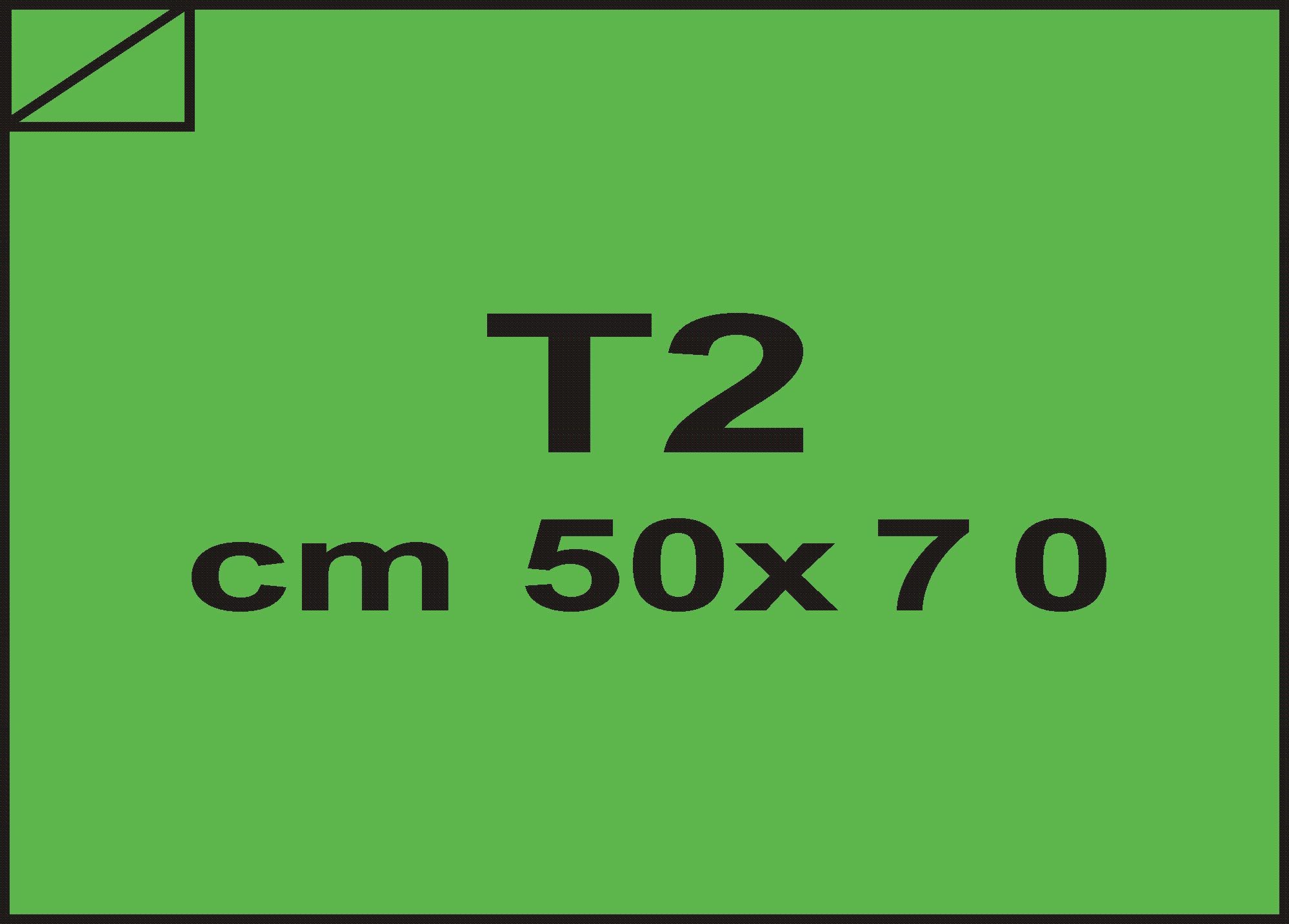 carta CartaAdesiva COLOR, Verde, t2, 80gr Verde, formato t2 (50x70cm), 80grammi x mq, retro 80grammi x mq bra1356t2