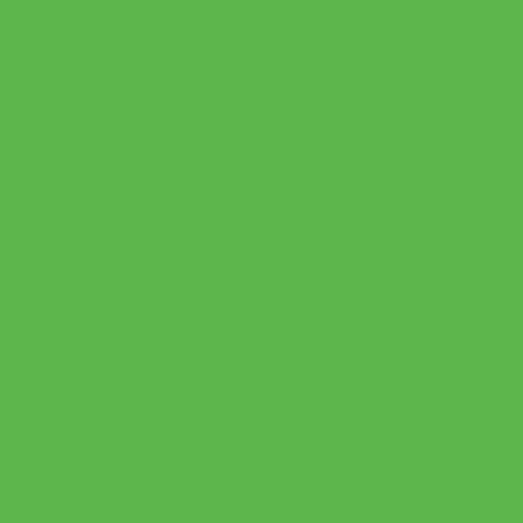 carta CartaAdesiva COLOR, Verde, t2, 80gr Verde, formato t2 (50x70cm), 80grammi x mq, retro 80grammi x mq.