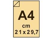 carta: bra462