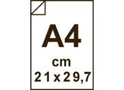 carta: 279