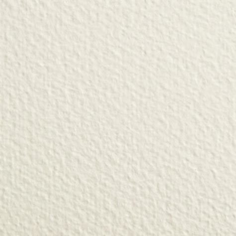 carta CartoncinoModigliani Cordenons, a3+, 200gr, CAMOSCIO Cordenons formato a3+ (30,5x44cm), 200grammi x mq.