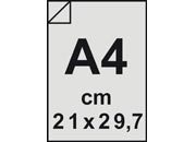 carta: bra1239