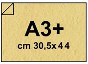 carta: bra670a3+