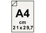 carta: bra667