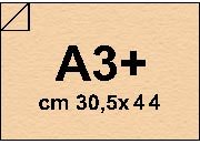 carta: bra1105a3+