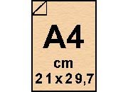 carta: bra611