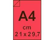 carta: bra287