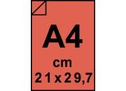 carta: bra1134