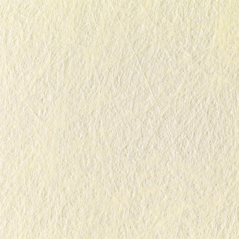 carta Cartoncino Twist Favini, AVORIO Ivory, formato A4 (21x29,7cm), 120grammi x mq.