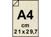 carta: bra1834