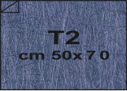 carta: bra1825T2