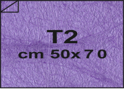 carta: bra1841T2