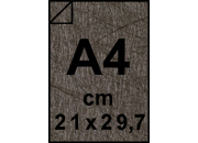 carta: bra1837