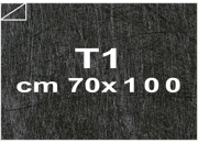 carta: bra1830T1