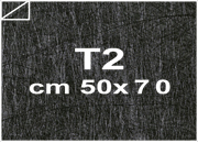 carta: bra1822T2