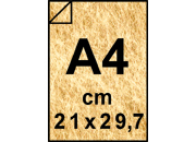 carta: bra1827
