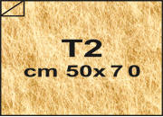 carta: bra1819T2