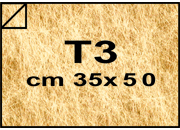 carta: bra1819T3