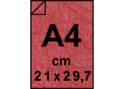 carta: bra1823