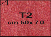 carta: bra1823T2