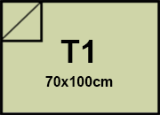 carta CartoncinoEcologioco ShiroTreeFREE, 250gr, t1, PISTACCHIO Formato t1 (70x100cm), 250grammi x mq BRA1163t1