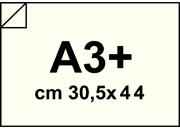 carta CartoncinoEcologico ShiroTreeFREE, 120gr, a3+, CREMA Formato a3+ (30,5x44cm), 120grammi x mq.