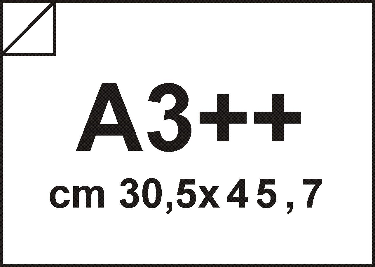 carta Carta digitale per stampa laser a colori Bianco, formato 30,5x45,7cm, 100grammi x mq, 500 fogli bra974