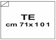 carta Cartoncino Monopatinato Duplex un lato Bianco e uno grigio, formato TE (71x101cm), 280grammi x mq bra1088TE-11