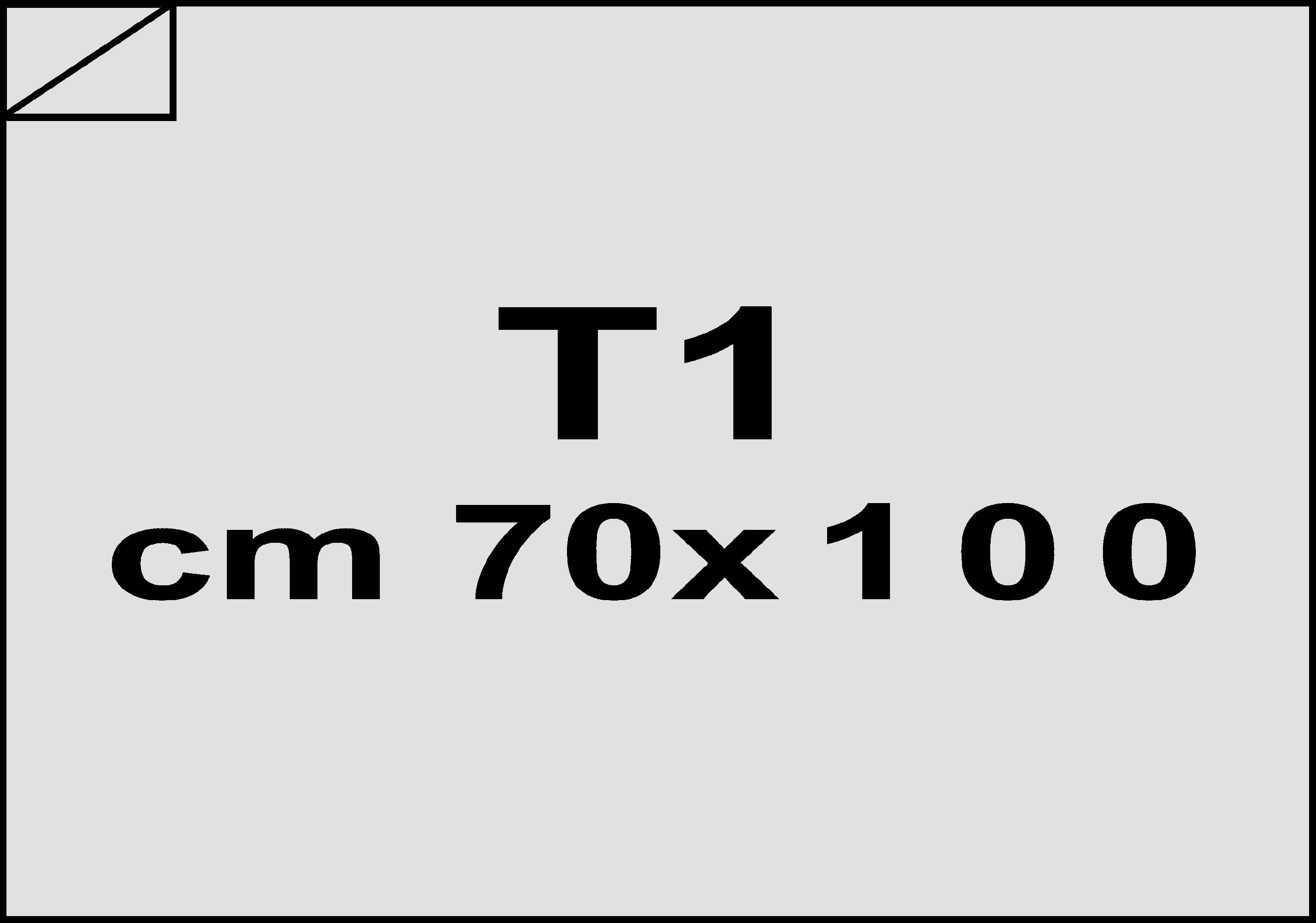 carta Cartone monolucido100, 0,5mm, 350gr, t1 GRIGIO, formato t1 (70x100cm), 350grammi x mq bra1089t1