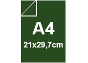 carta CartoncinoEcologioco ShiroTreeFREE, 250gr, A4, MUSCHIO Formato A4 (21x29,7cm), 250grammi x mq bra1164