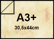 carta Carta MarinaPergamenata, Conchiglia, a3+, 90gr Formato a3+ (30,5x44cm), 90grammi x mq bra150a3+
