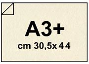 carta Cartoncino Pergamenata AVORIOConchiglia, a3+, 175gr bre8a3+.