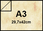 carta Cartoncino MarinaPergamenata, Conchiglia, a3, 175gr formato a3 (29,7x42cm), 175grammi x mq bra328a3