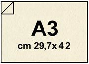 carta Cartoncino Pergamenata AVORIOConchiglia, a3, 175gr Formato a3 (29,7x42cm), 175grammi x mq bre8a3