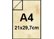 carta Cartoncino MarinaPergamenata, CONCHIGLIA, A4, 175gr formato A4 (21x29,7cm), 175grammi x mq bra328