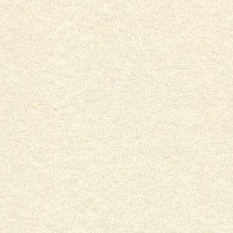 carta Cartoncino Pergamenata AVORIOConchiglia, a3+, 175gr Formato a3+ (30,5x44cm), 175grammi x mq.