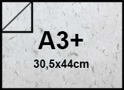 carta Carta SnowPetal 160gr, a3+, BIANCO Bianco, formato a3+ (30,5x44cm), 160grammi x mq bra306a3+
