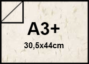 carta Carta SnowPetal 100gr, a3+, AVORIO  Formato a3+ (30,5x44cm), 100grammi x mq BRA179a3+