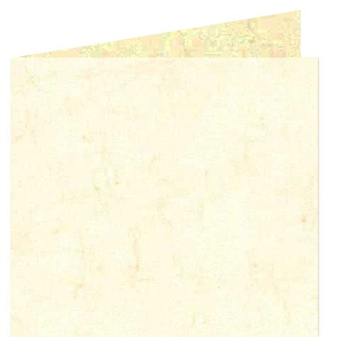 legatoria Cartoncino Pelle Elefante Zanders Bianco, formato A3 (29,7x42cm), 110grammi x mq.