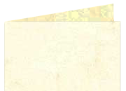 legatoria Cartoncino Pelle Elefante Zanders Bianco, formato A3 (29,7x42cm), 110grammi x mq.