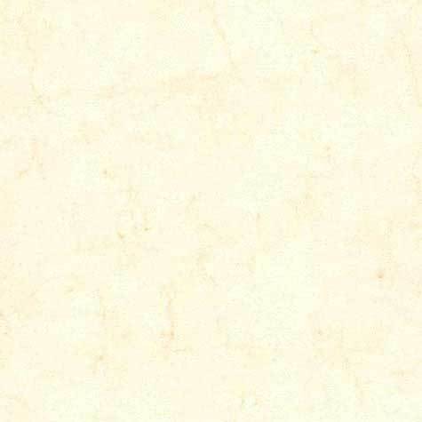 carta Cartoncino PelleElefante, BIANCO, a3, 110gr Formato a3 (29,7x42cm), 110grammi x mq.