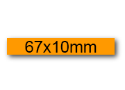 wereinaristea EtichetteAutoadesive, 67x10(10x67mm) Carta BRA3046ar.