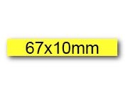 wereinaristea EtichetteAutoadesive, 67x10(10x67mm) Carta bra3046GI.