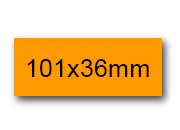 wereinaristea EtichetteAutoadesive, 101x36(36x101mm) Carta ARANCIONE, adesivo Permanente, angoli a spigolo, per ink-jet, laser e fotocopiatrici, su foglio A4 (210x297mm) bra3103ar